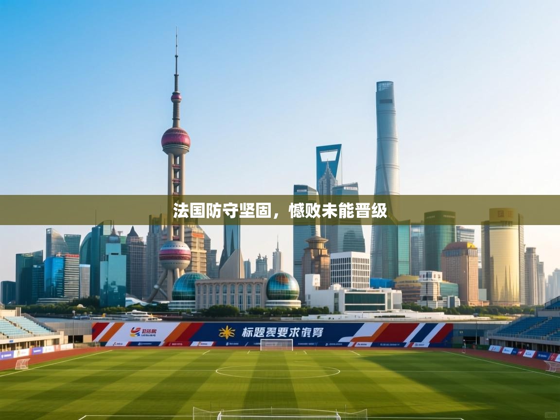 法国防守坚固，憾败未能晋级  第1张