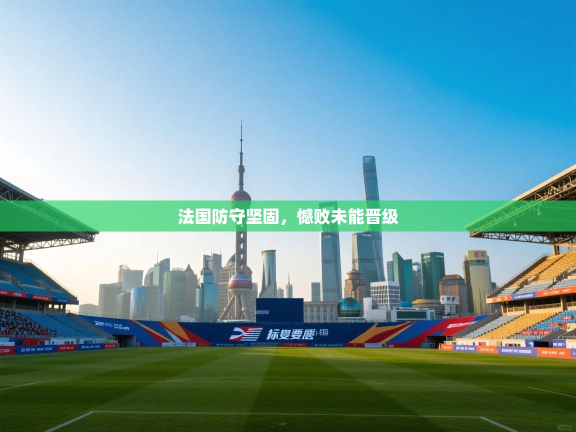 法国防守坚固，憾败未能晋级  第2张
